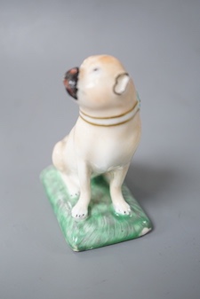 A Derby pug dog of large size, c.1810-30, naturalistically painted, sitting on his haunches incised mark for Isaac Farnsworth 8cm